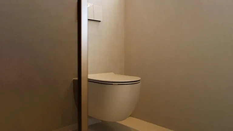 Microcement toilet